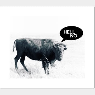 Hell No Animal Humor Bison Photo Art Posters and Art